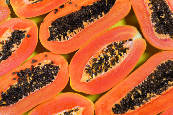 Papaya Seed Oil