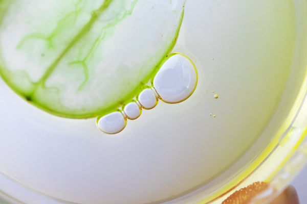 Cucumber seed oil